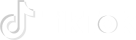 Tik Tok W Logo